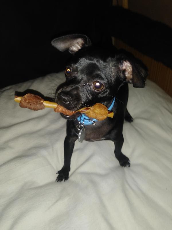 MY ONYX with his FAVORITE new treat!