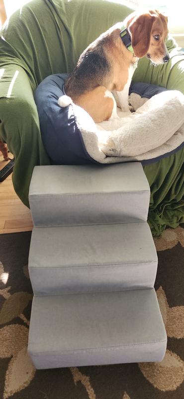 Useful steps for poochy