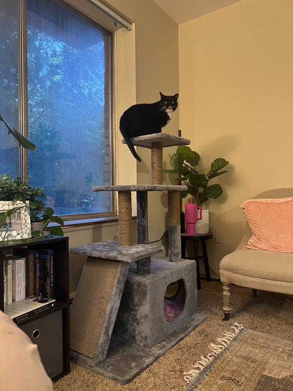 EveryYay Lookout Loft 4-Level Cat Tree for Big & Senior Cats, 46