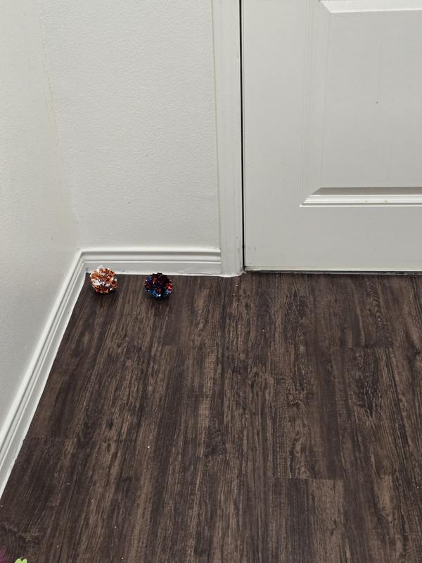 Its a long day waiting for my human to return! CRINKLES....