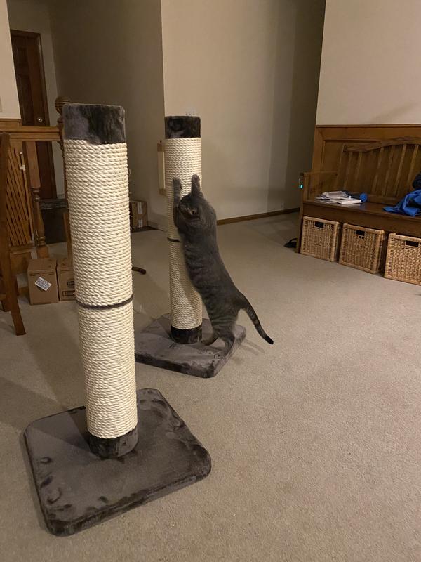 Midwest feline nuvo grand cat scratching post hotsell