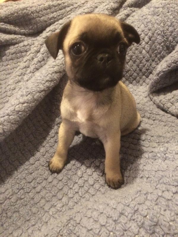 Gracie Mae