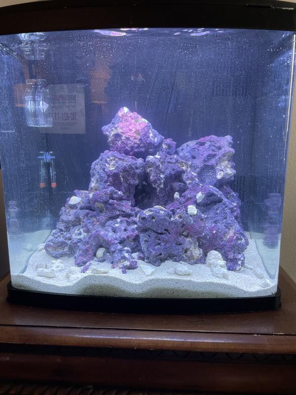 Caribsea Life Rock 18kg 40 LBS Box Real Reef Aquarium Purple Live Rock Fish Tank 