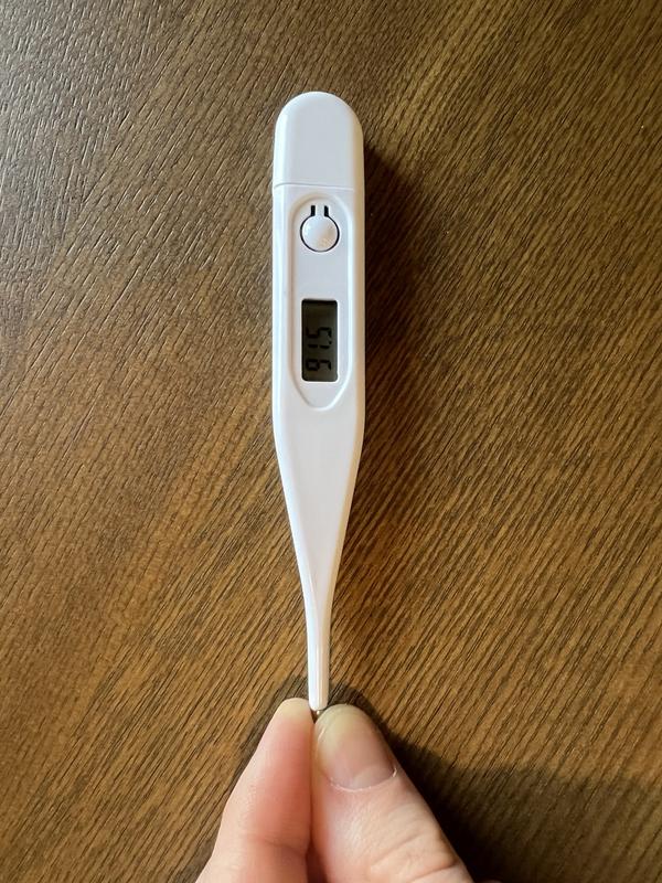 Well & Good Digital Pet Thermometer