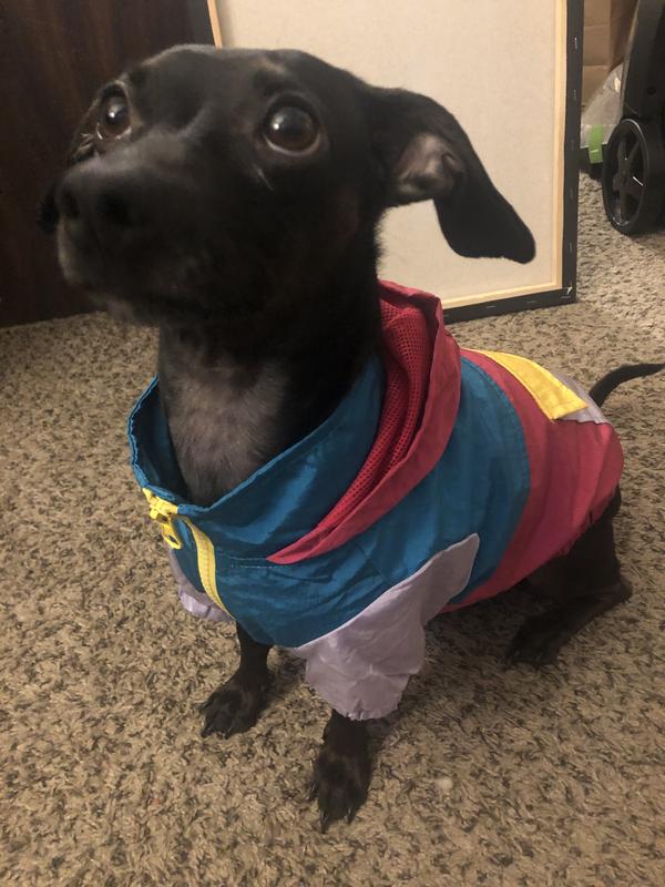 Photo - commentaire 1.