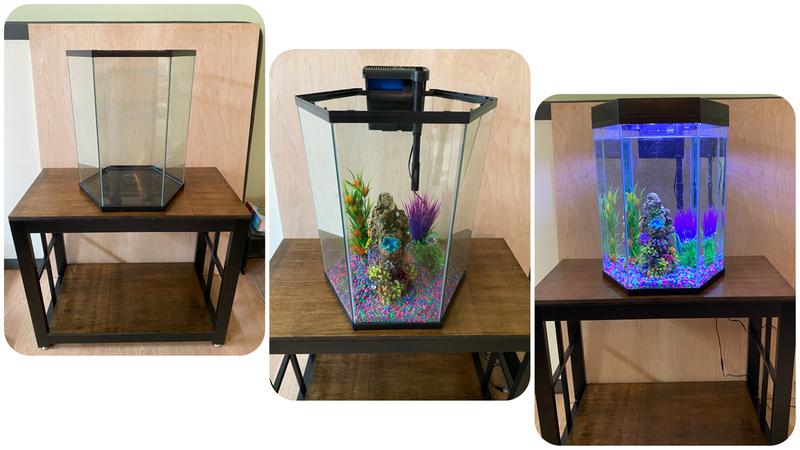 petco 40 gallon tank stand