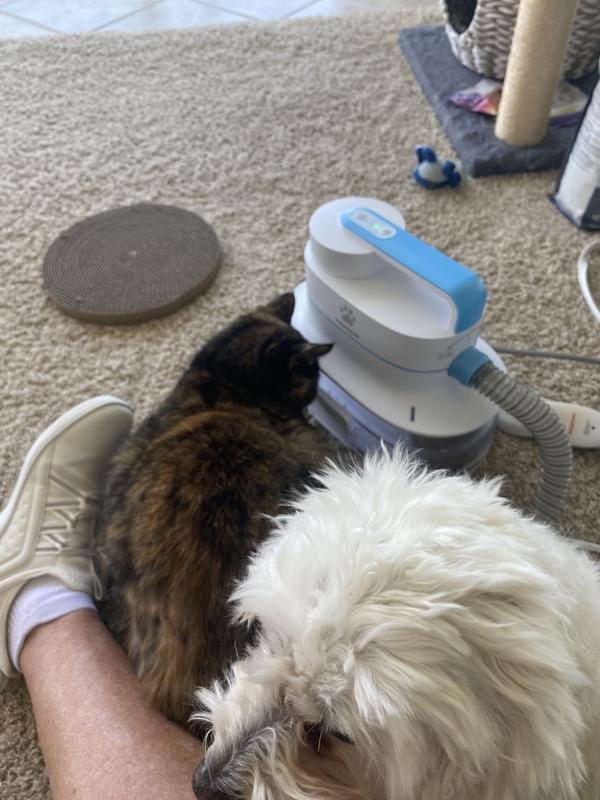 Grooming station