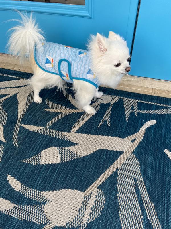 #spottedbypetco