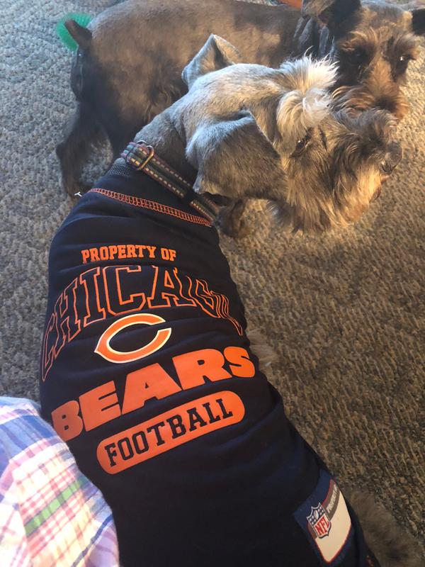 Pets First NFL NFC North T-Shirt For Dogs, Large, Chicago Bears