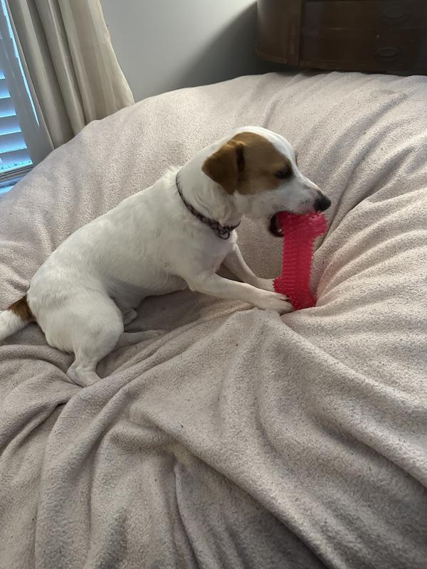 Took it to a better chewing place.