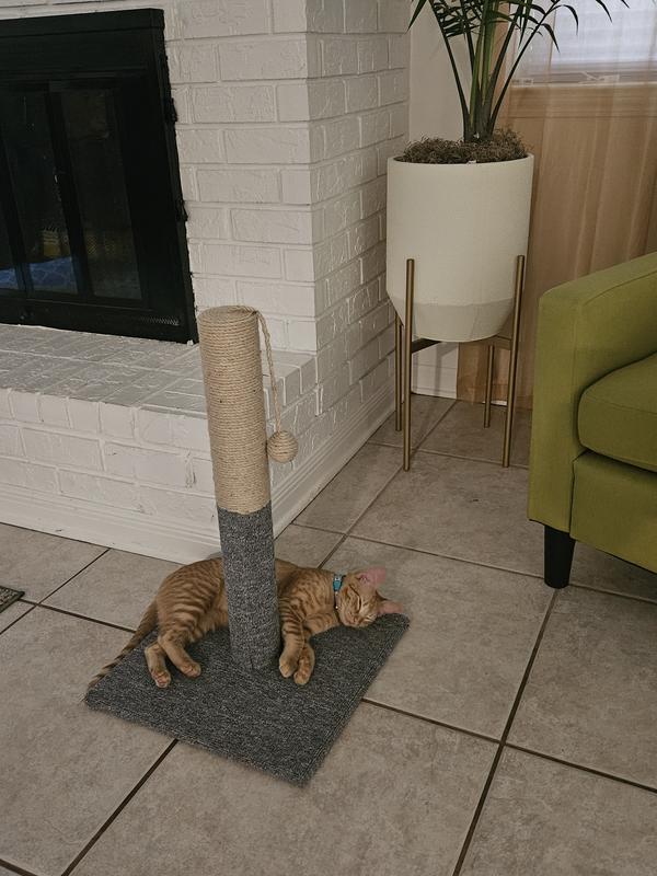 EveryYay Dual Texture Cat Scratch Post, 24.5