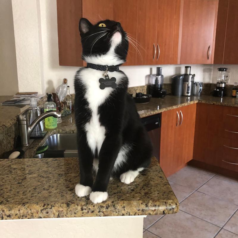 So Phresh Jute Cat Litter Mat & Paw Cleaner 24"x36"