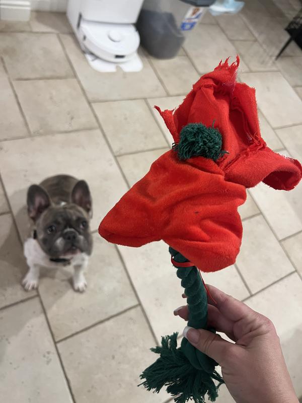 rope rose dog toy Pet Supplies : Pawty Dog Toys - Rose Feeder Toy - Hide and Sniff Treats in  Neck - Soft Plush Toy with Treat Pockets - Small to Medium Dog main image 0