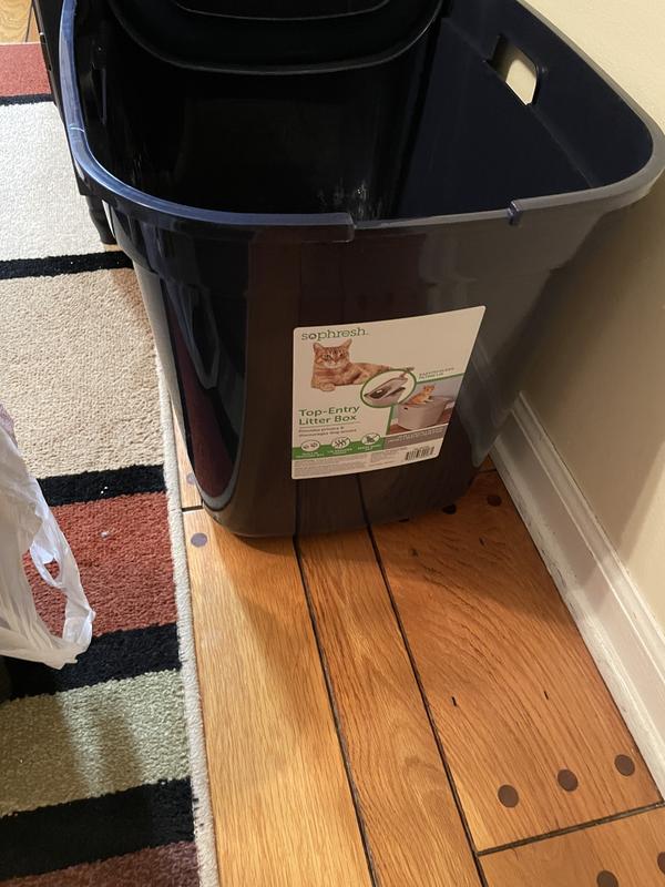 So Phresh Navy TopEntry Litter Box with Odor Control & Mat