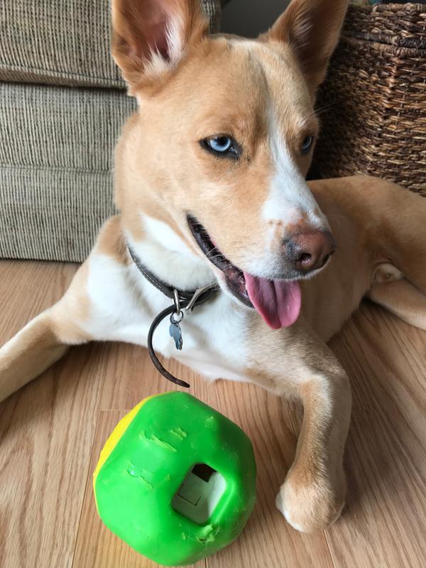 starmark bumper body puzzle ball dog treat dispenser