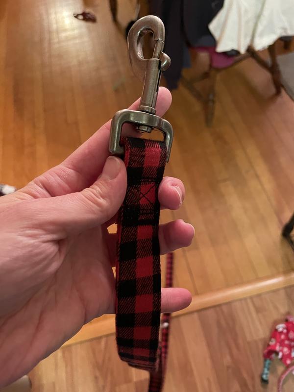 Perfect size leash!