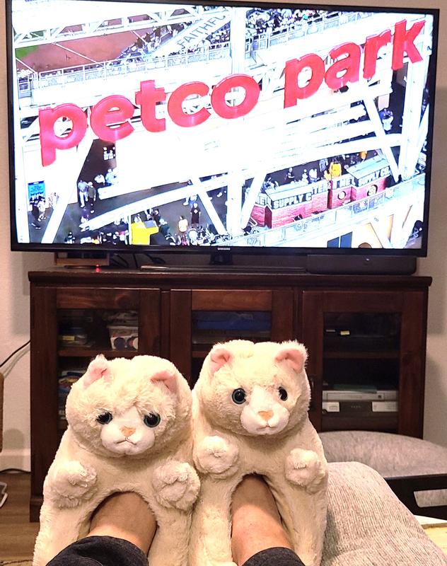 Perfect for lounging and watching the San Diego Padres play at the awesome Petco Park!