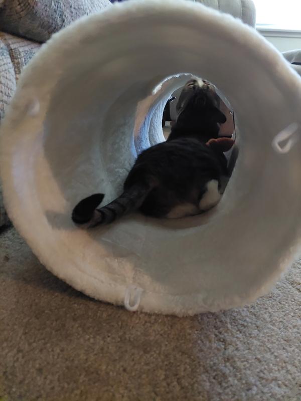 Notice the loops on the ends so you can attach it to other tunnels to make a bigger one