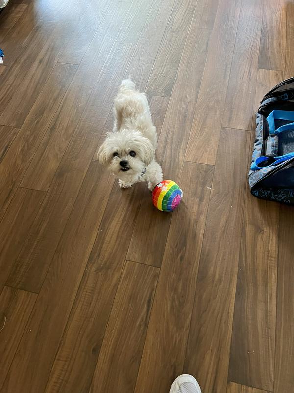 I think he likes it!