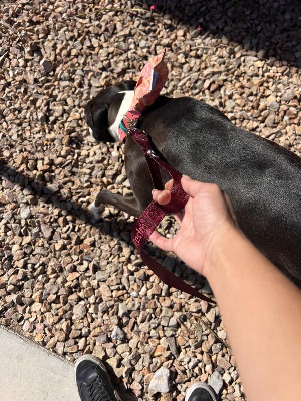 Short lead for safety