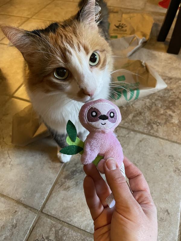 Sloth cat toy sales