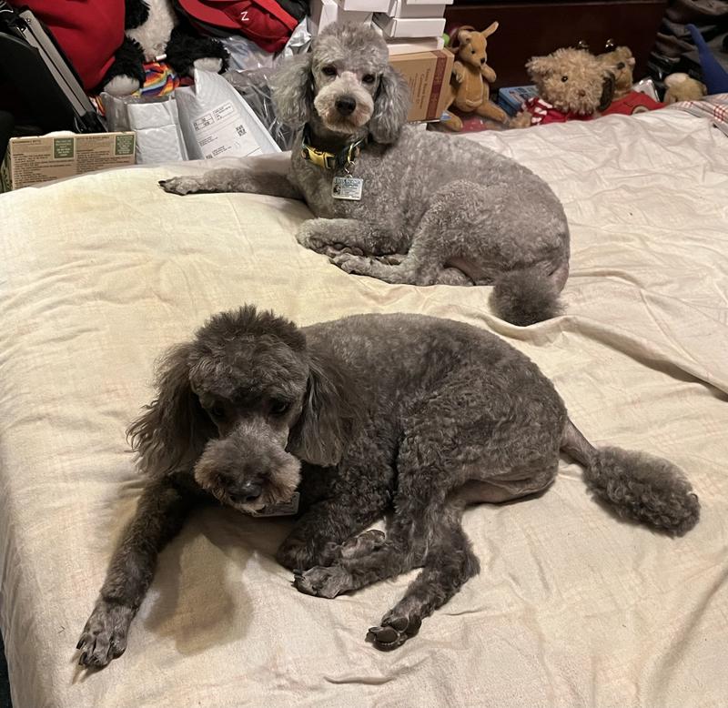 Wesley and Wally