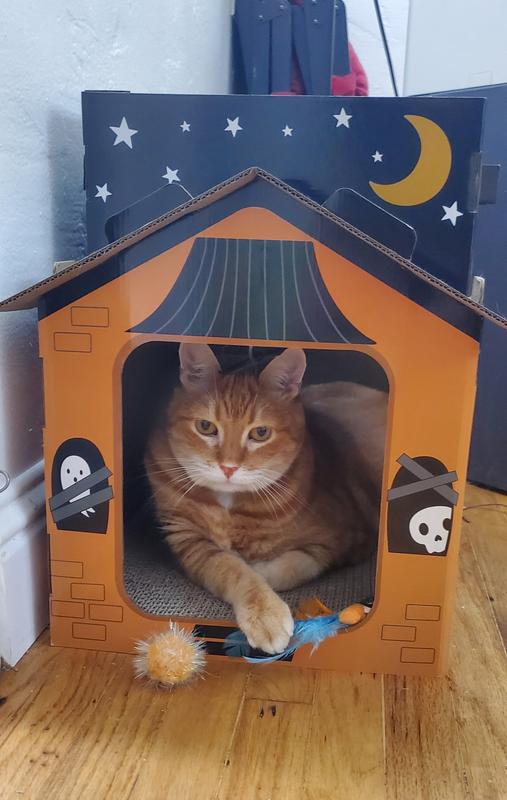 Photo - commentaire 2.