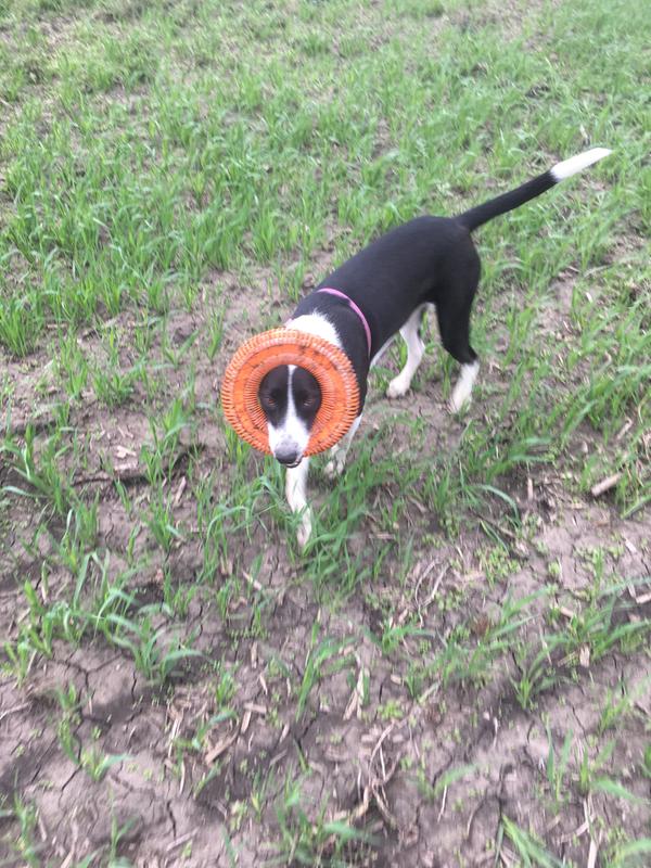 Playing in the field with our new toy!