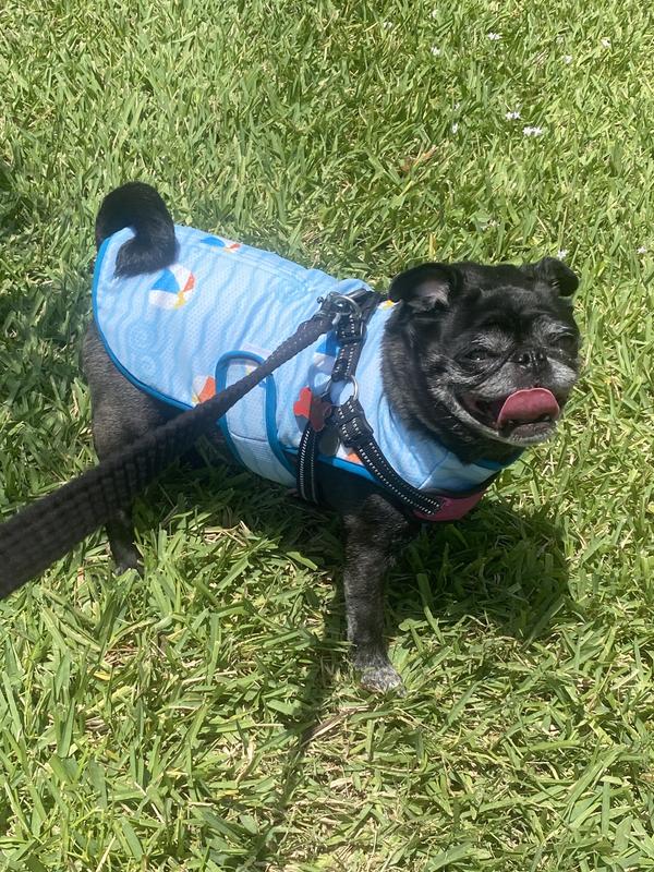 Enjoying her vest