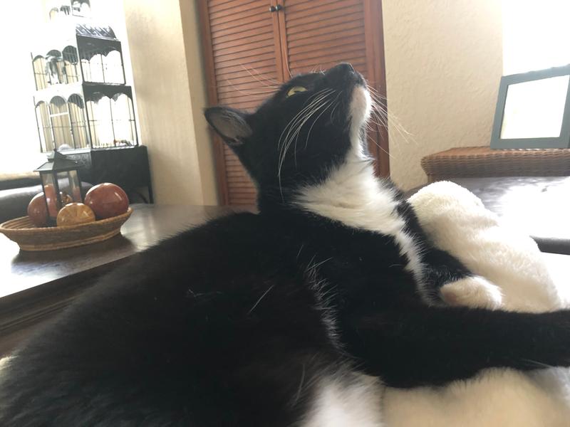 So Phresh Jute Cat Litter Mat & Paw Cleaner 24"x36"