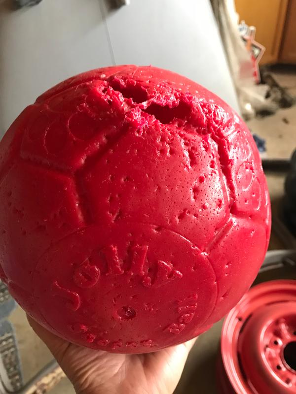 jolly soccer ball petco