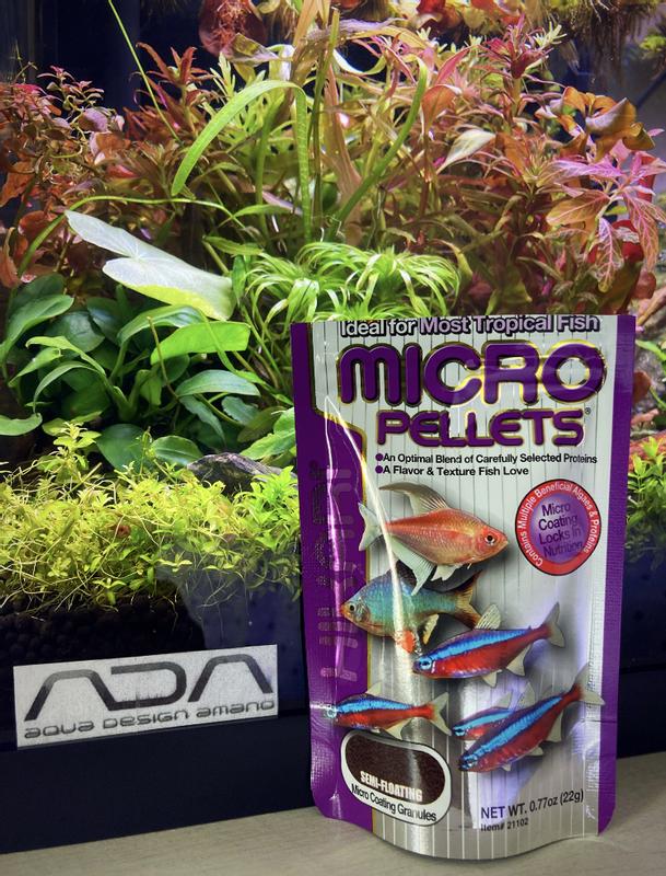 Hikari Micro Pellets Fish Food 22g