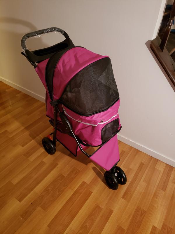 Princess new ride