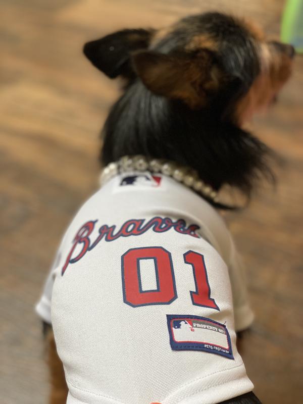 Pets First MLB National League East Jersey for Dogs, Large, Philadelphia  Phillies, Petco