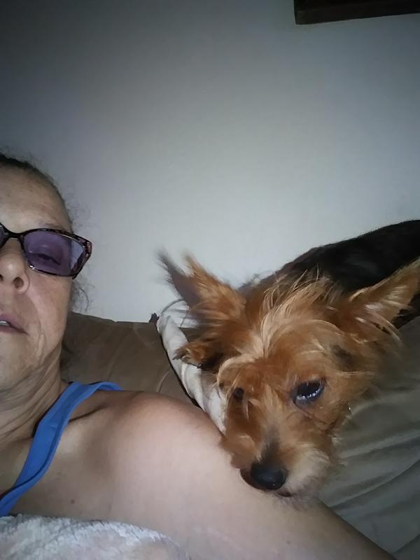 Photo - commentaire 3.