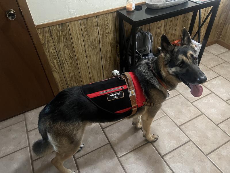 Emotional support best sale dog vest petco