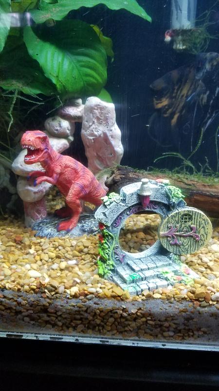 dinosaur fish tank accessories Imagitarium Gnome Home Doorway Aquarium Decor, Small