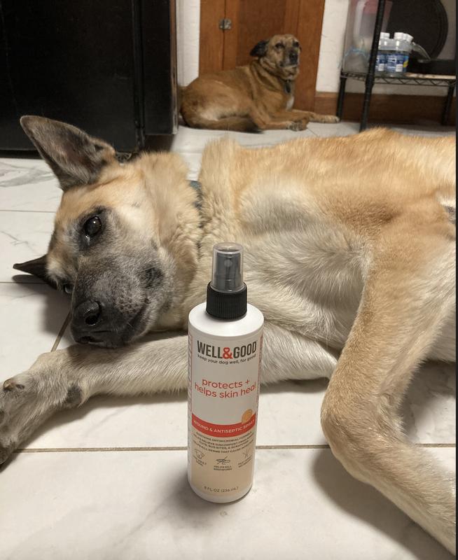 Well & Good Dog Antiseptic Spray, Soothes & Protects, 8 oz