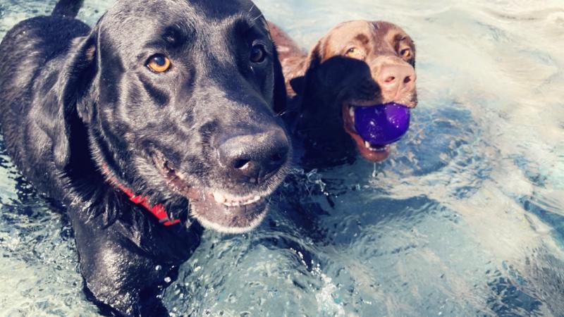 Photo - commentaire&nbsp;2.