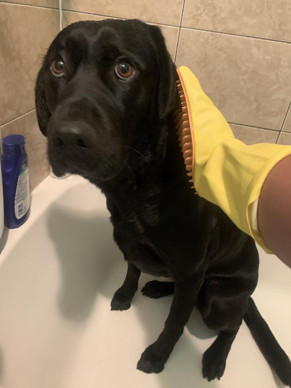 Squeaky clean