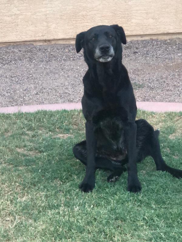 Photo - commentaire&nbsp;1.