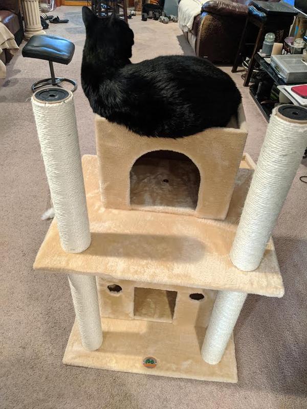 Go Pet Club Beige Cat Tree with Sisal Posts & Large Houses