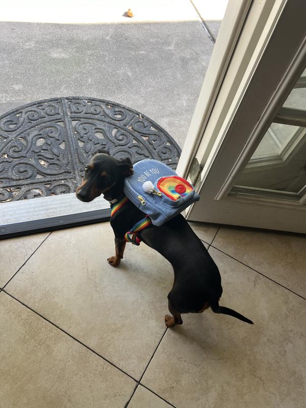 YOULY Pride Rainbow Dog Backpack for Small/Medium Dogs