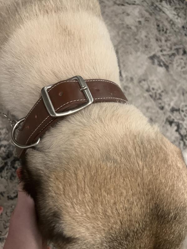 YOULY The Rebel Brown Leather Bone Stud Dog Collar, Medium