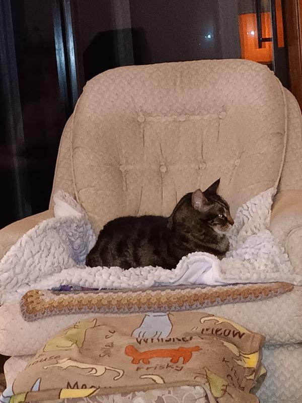 Lucas