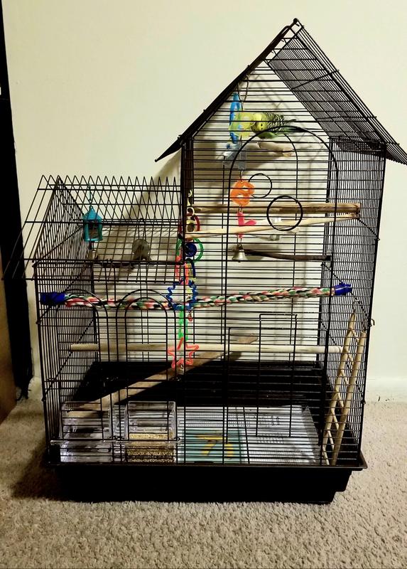 bird cage house