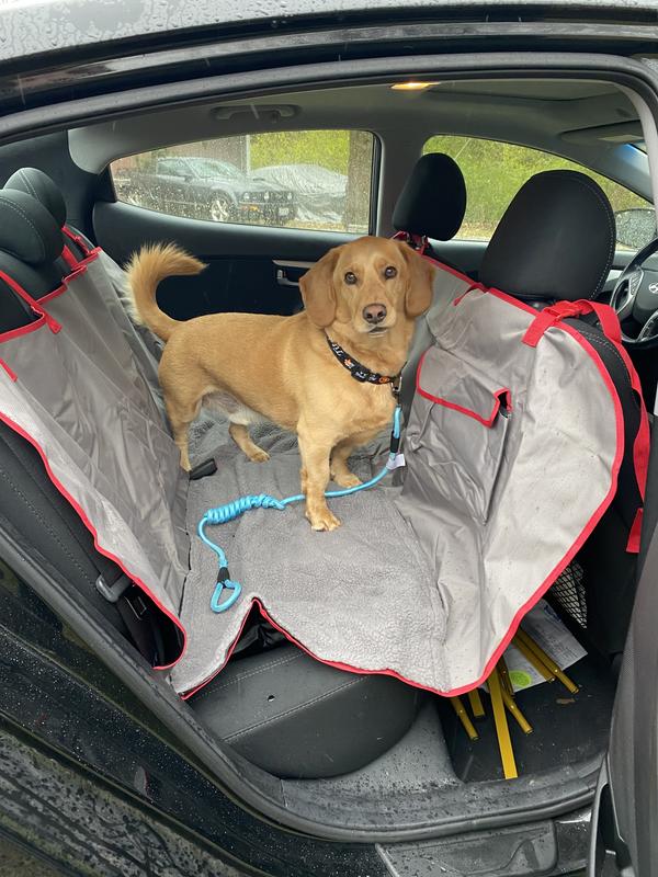 Petco car hammock hotsell