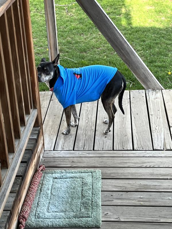 She hates having her picture taken but looks cute in her hoodie!