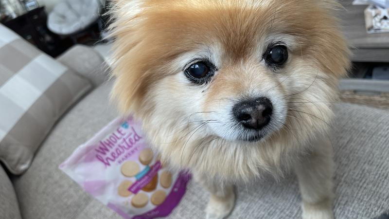 Cookie fan