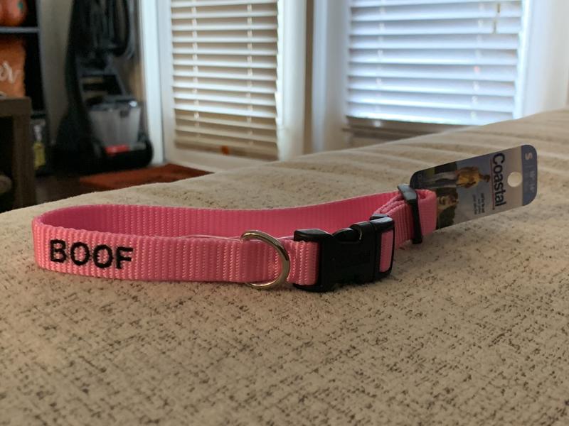 Coastal Pet Metal Buckle Nylon Personalized Dog Collar in Bright Pink, 1 Width